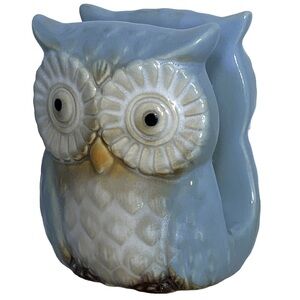 Owl Napkin Holder Ceramic Artisan Hand Painted Functional Counter Art Blue Tan